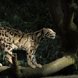 Название товара